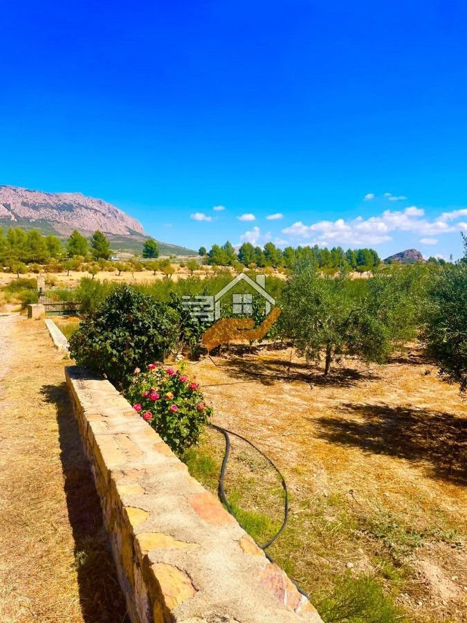 Country House in Velez-Rubio, Andalusia, Spain 3 - 19137251