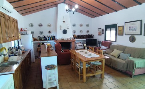Azienda agricola a Prado del Rey, Andalusia, Spagna 1
