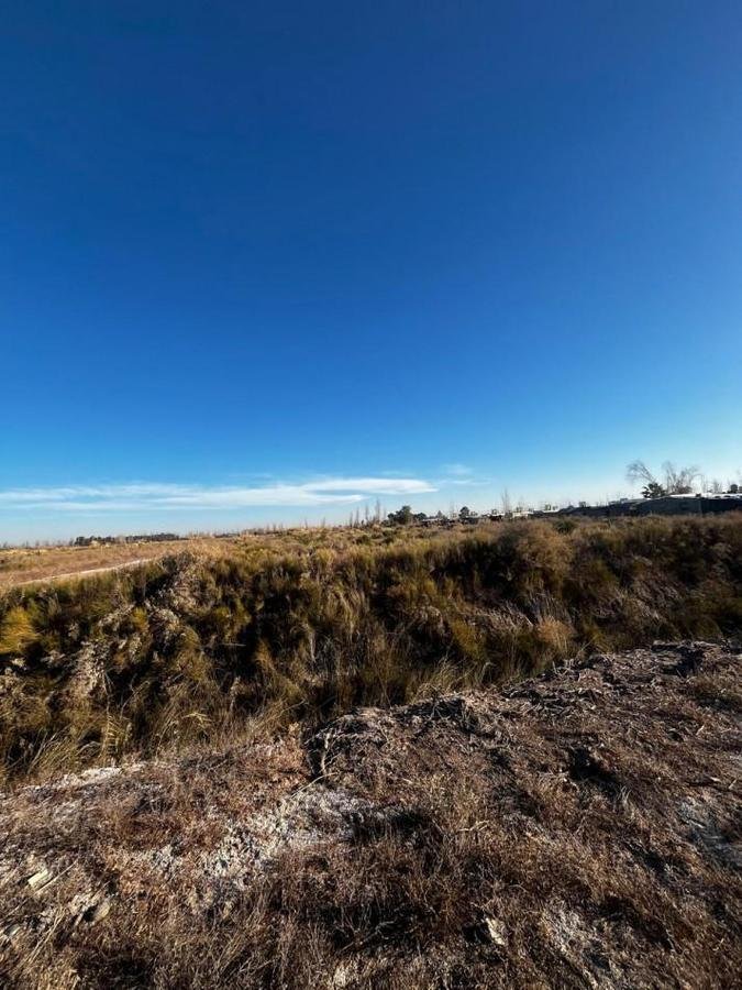 Land in Palmira, Mendoza, Argentinien 3 - 19136867