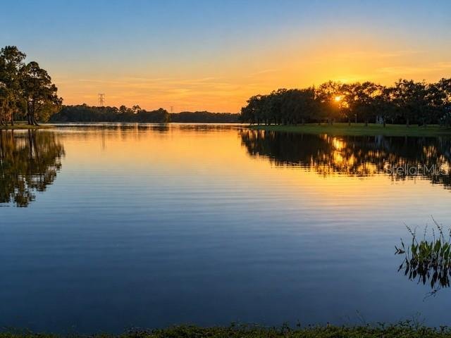 House in Tampa, Florida, United States 3 - 19136750