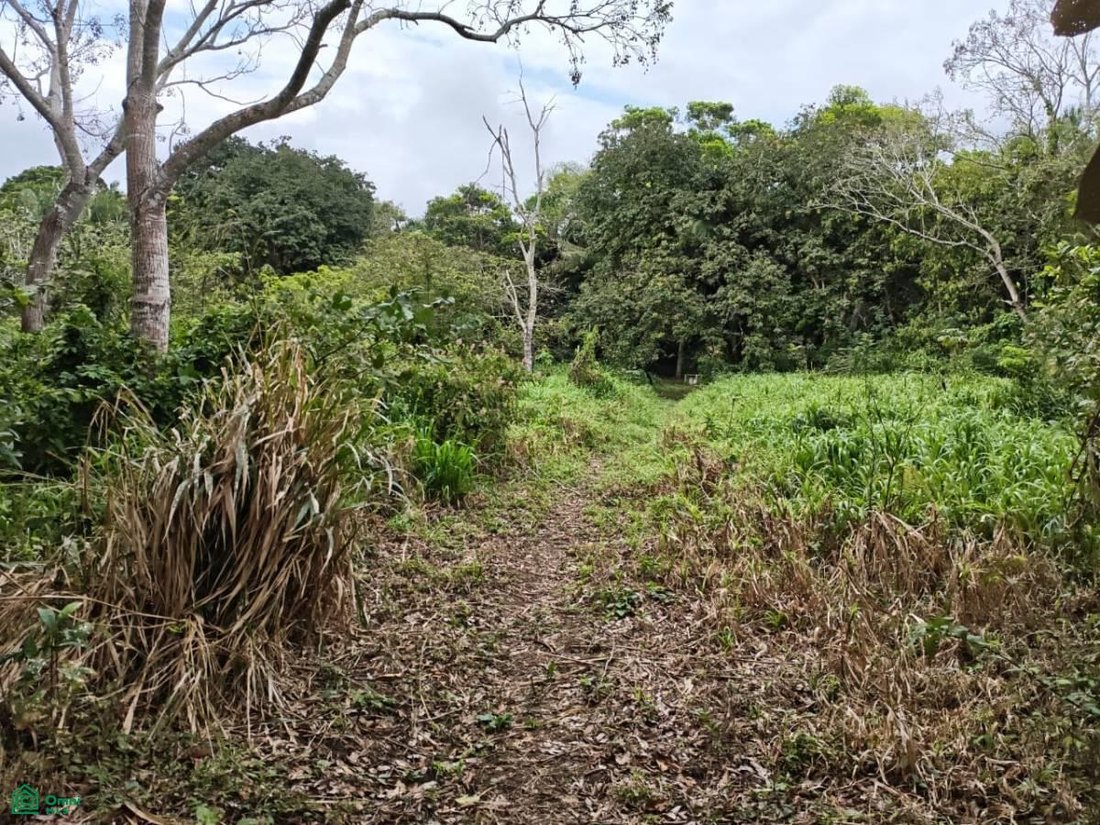 Terrain à Hermenegildo J. Aldana, Veracruz, Mexique 4 - 18257242