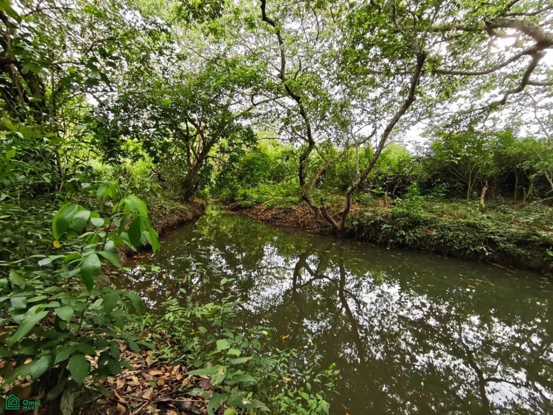 Terrain à Hermenegildo J. Aldana, Veracruz, Mexique 2 - 18257242