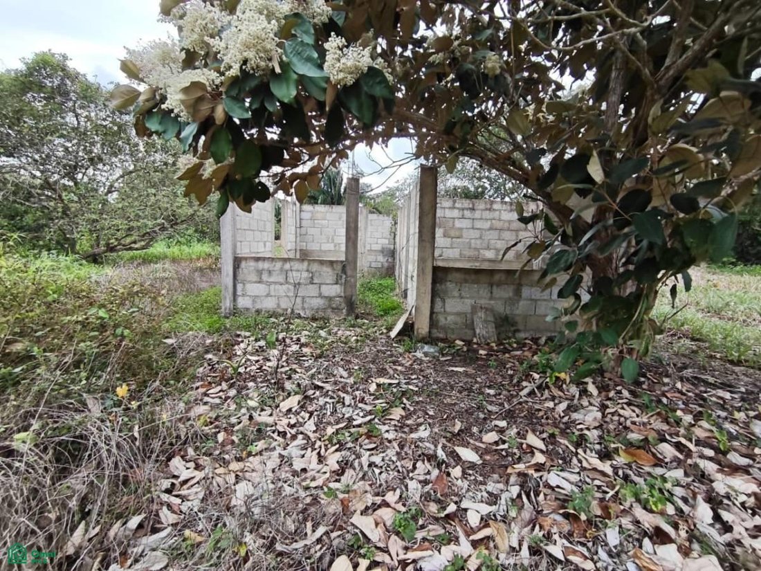 Terrain à Hermenegildo J. Aldana, Veracruz, Mexique 5 - 18257242