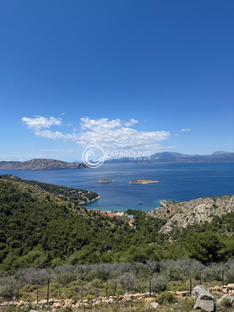 Autres à Hydra, Attique, Grèce 2 - 19137105