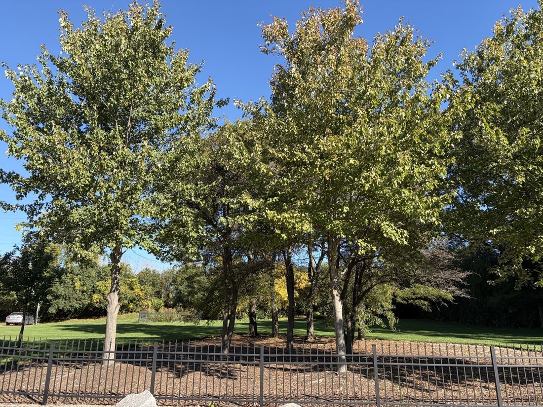 Land in Northbrook, Illinois, United States 2 - 19136670