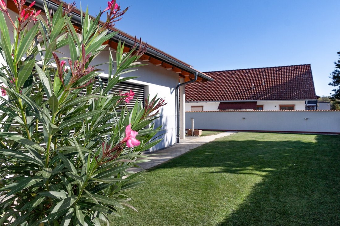Bungalow in Neusiedl am See, Burgenland, Austria 4 - 19136836