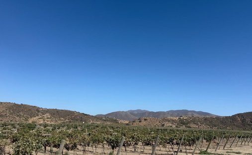Land in Santo Tomás, Baja California, Mexiko 1