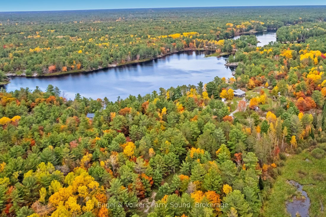 The Archipelago, Ontario, Canada 3 - 19136725
