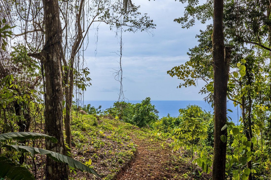 Terreno in Savegre, Provincia di Puntarenas, Costa Rica 4 - 19137479