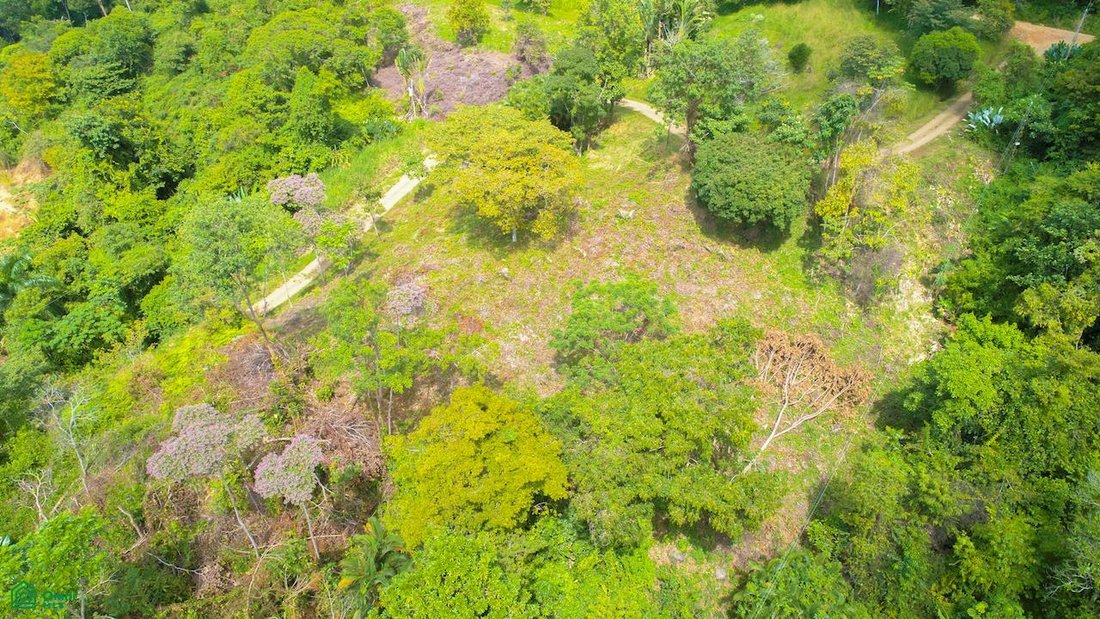 Terrain en Dominicalito, Puntarenas, Costa Rica 5 - 19137482
