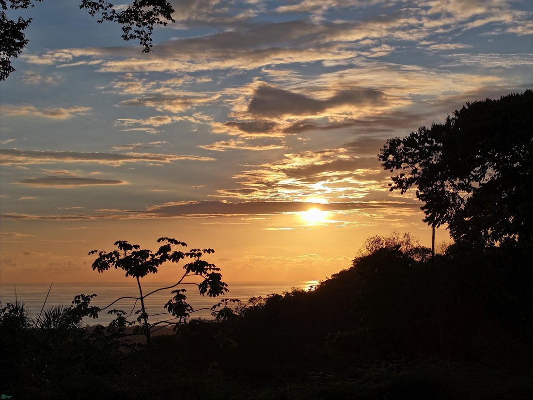 Terreno in Uvita, Provincia di Puntarenas, Costa Rica 1 - 19137453