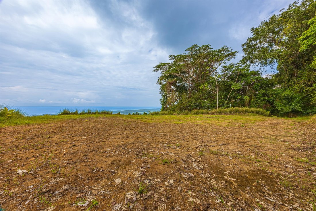 Terreno in Savegre, Provincia di Puntarenas, Costa Rica 2 - 19137479