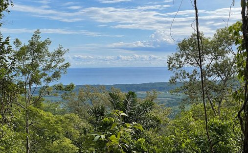 Terreno a Savegre, Provincia di Puntarenas, Costa Rica 1