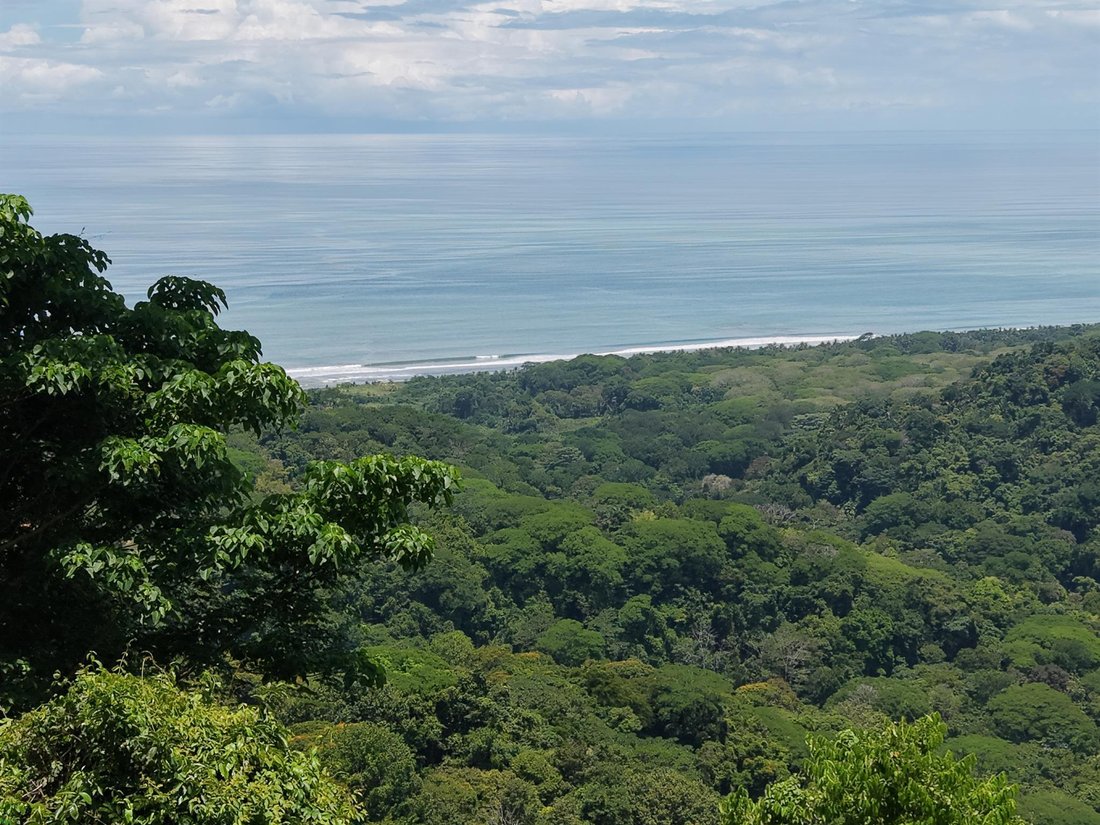 Terreno in Savegre, Provincia di Puntarenas, Costa Rica 3 - 18255376