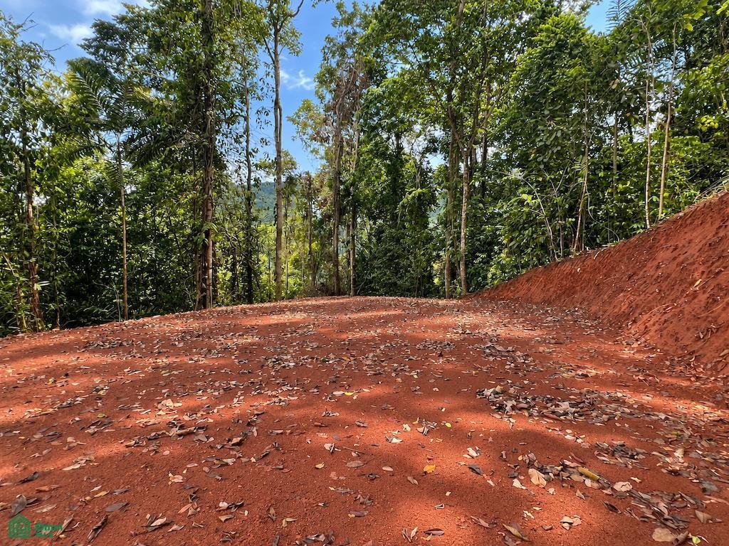 Terrain en Savegre de Aguirre, Puntarenas, Costa Rica 4 - 19137456