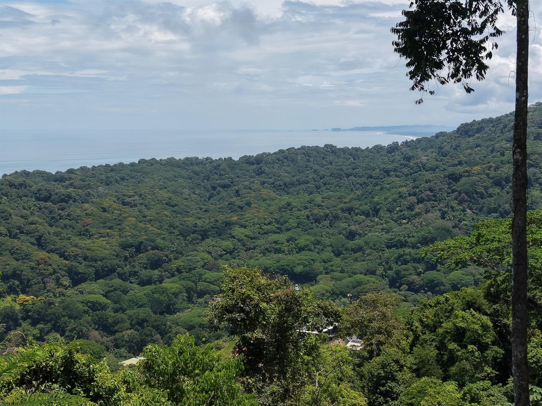 Terreno in Savegre, Provincia di Puntarenas, Costa Rica 2 - 18255376