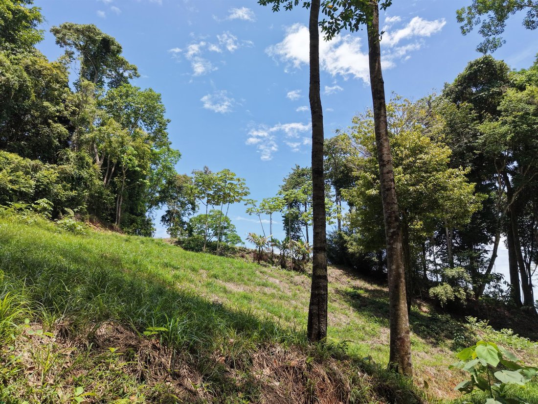 Terreno in Savegre, Provincia di Puntarenas, Costa Rica 5 - 18255376