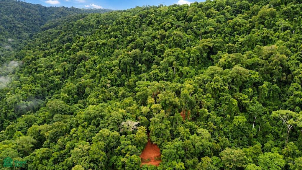 Terrain en Savegre de Aguirre, Puntarenas, Costa Rica 2 - 19137456