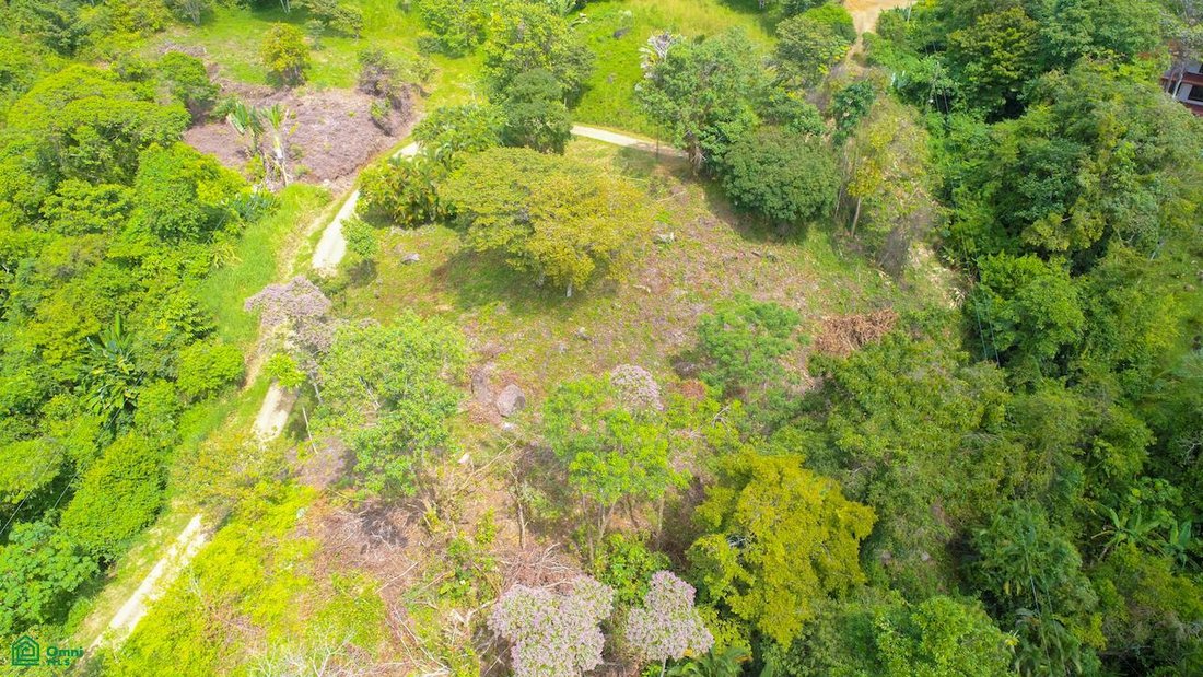 Terrain en Dominicalito, Puntarenas, Costa Rica 4 - 19137482
