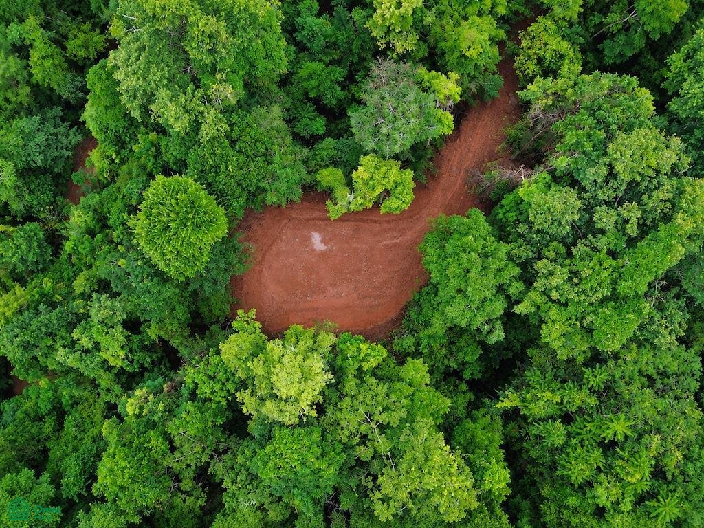 Terrain en Savegre de Aguirre, Puntarenas, Costa Rica 3 - 19137456