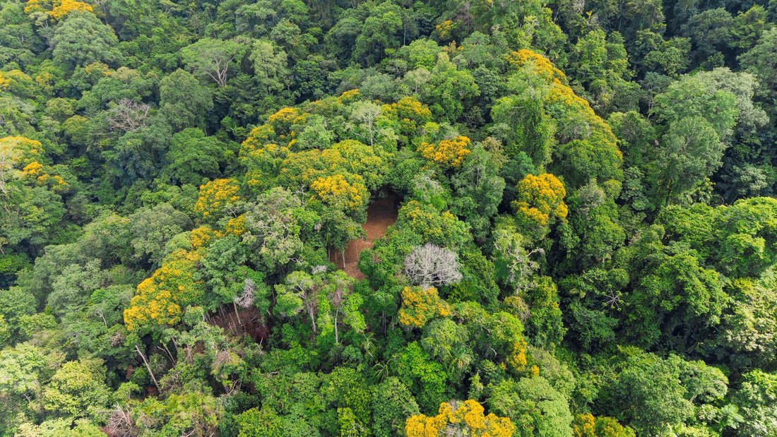 Terrain en Uvita, Puntarenas, Costa Rica 1 - 19137442