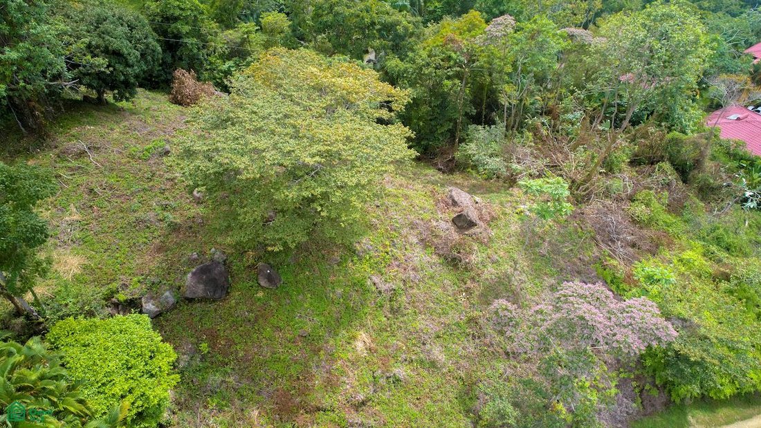 Terrain en Dominicalito, Puntarenas, Costa Rica 3 - 19137482