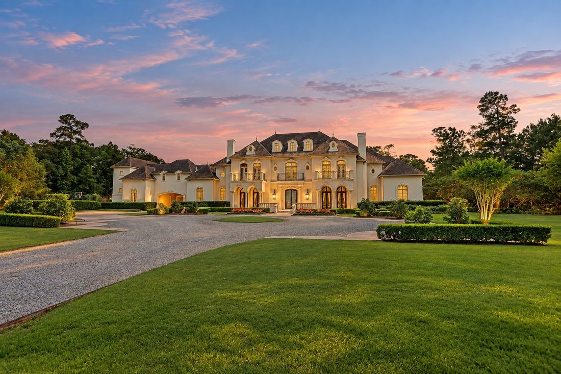 Domaine à Spring, Texas, États-Unis 2 - 19137446