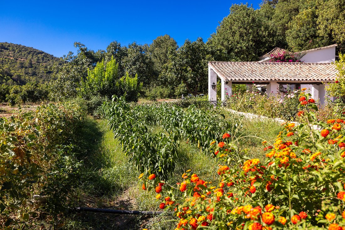 Finca in Gaucín, Andalusien, Spanien 3 - 19137532