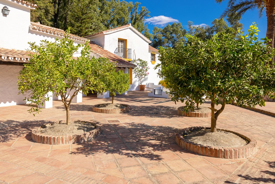 Finca in Gaucín, Andalusien, Spanien 5 - 19137532