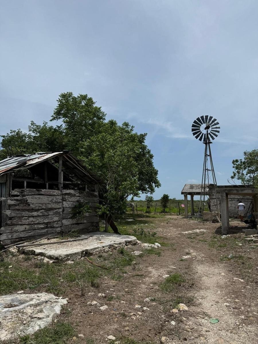 Land in Río Lagartos, Yucatan, Mexico 5 - 19137620