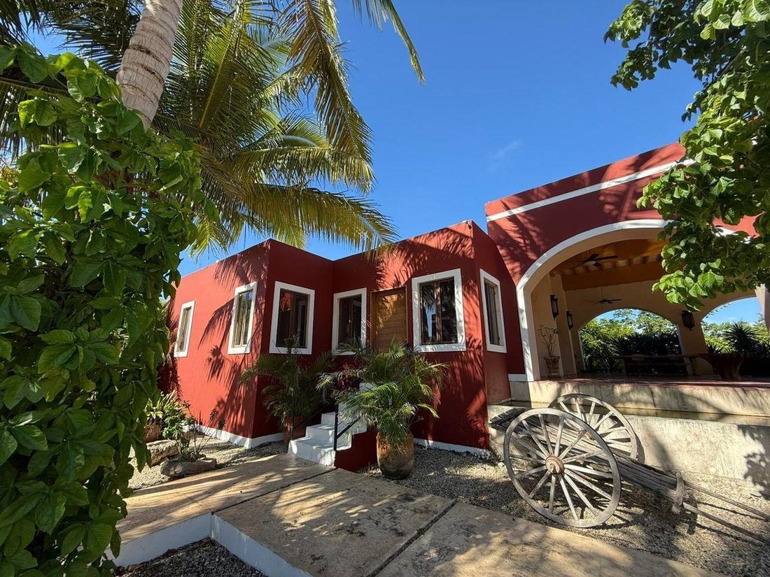 House in Baca, Yucatan, Mexico 4 - 19137641