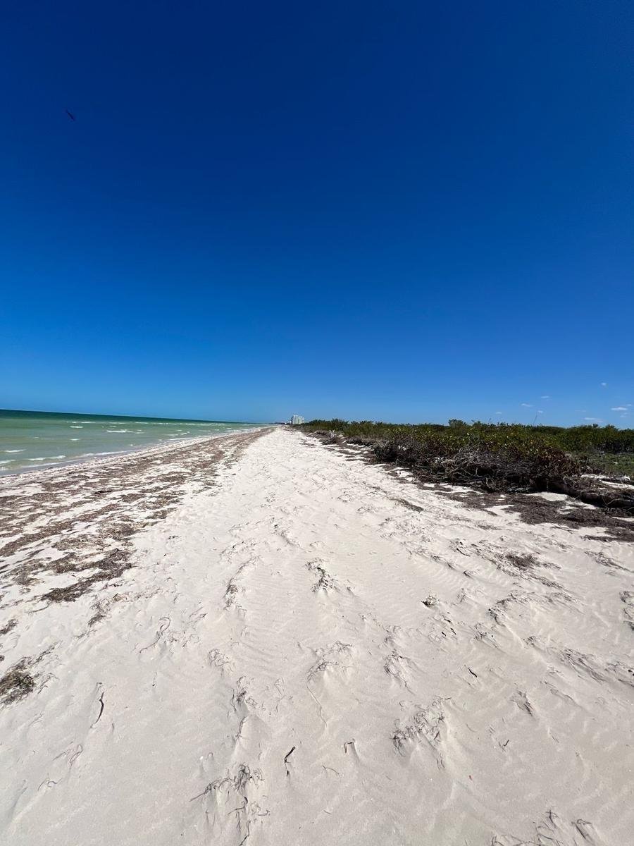 Land in Telchac Puerto, Yucatán, Mexiko 2 - 19137640
