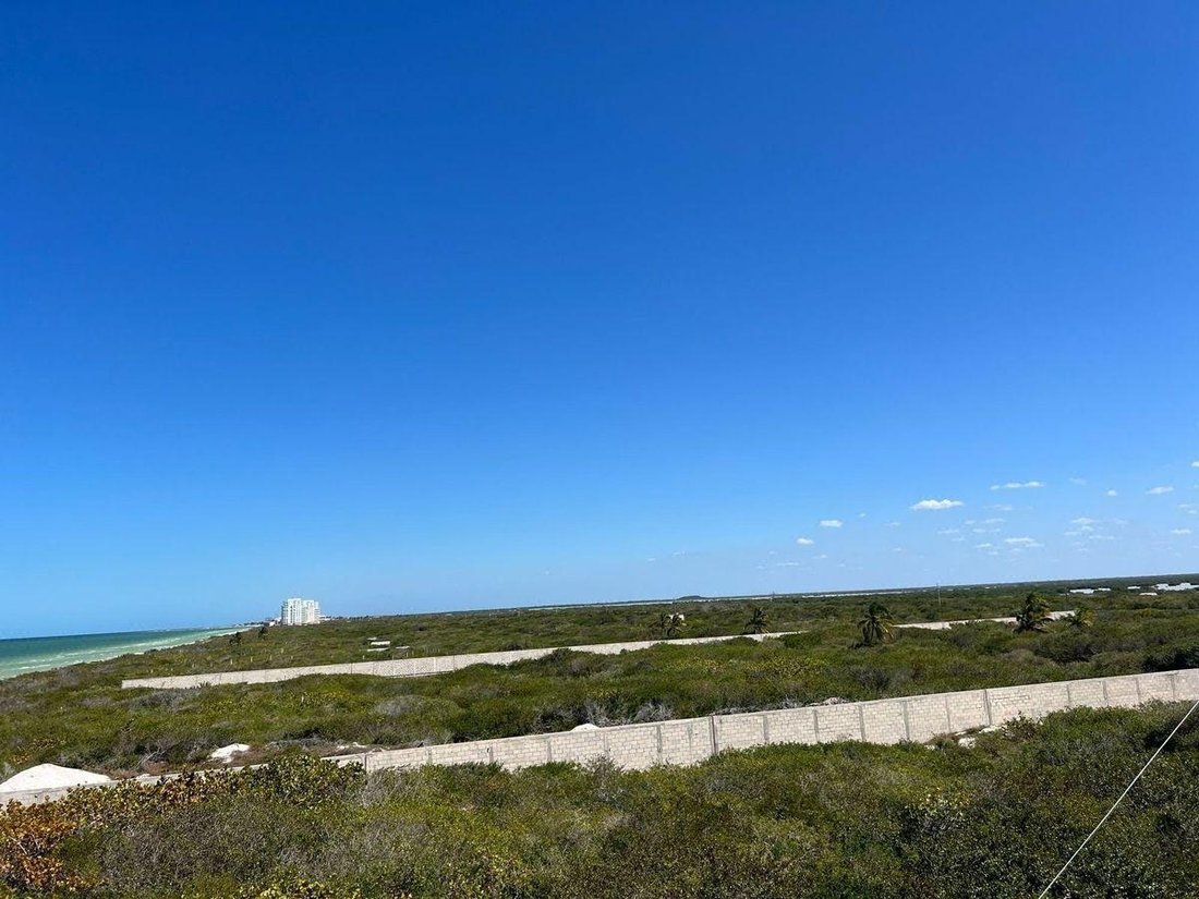 Land in Telchac Puerto, Yucatán, Mexiko 5 - 19137640