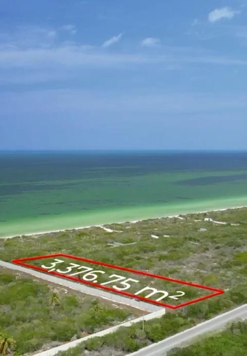Land in Telchac Puerto, Yucatán, Mexiko 1 - 19137640