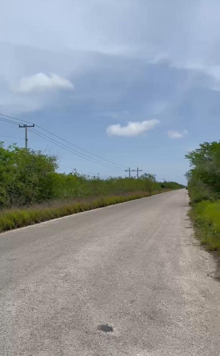 Land in Río Lagartos, Yucatan, Mexico 1 - 19137620