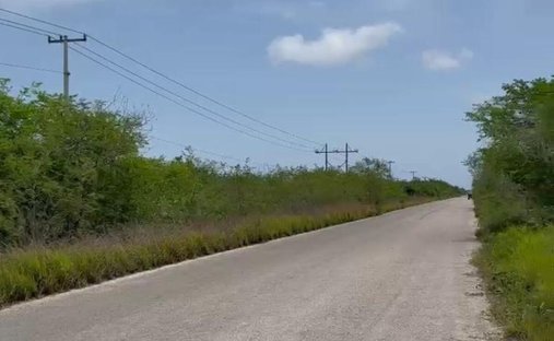 Land in Río Lagartos, Yucatán, Mexiko 1