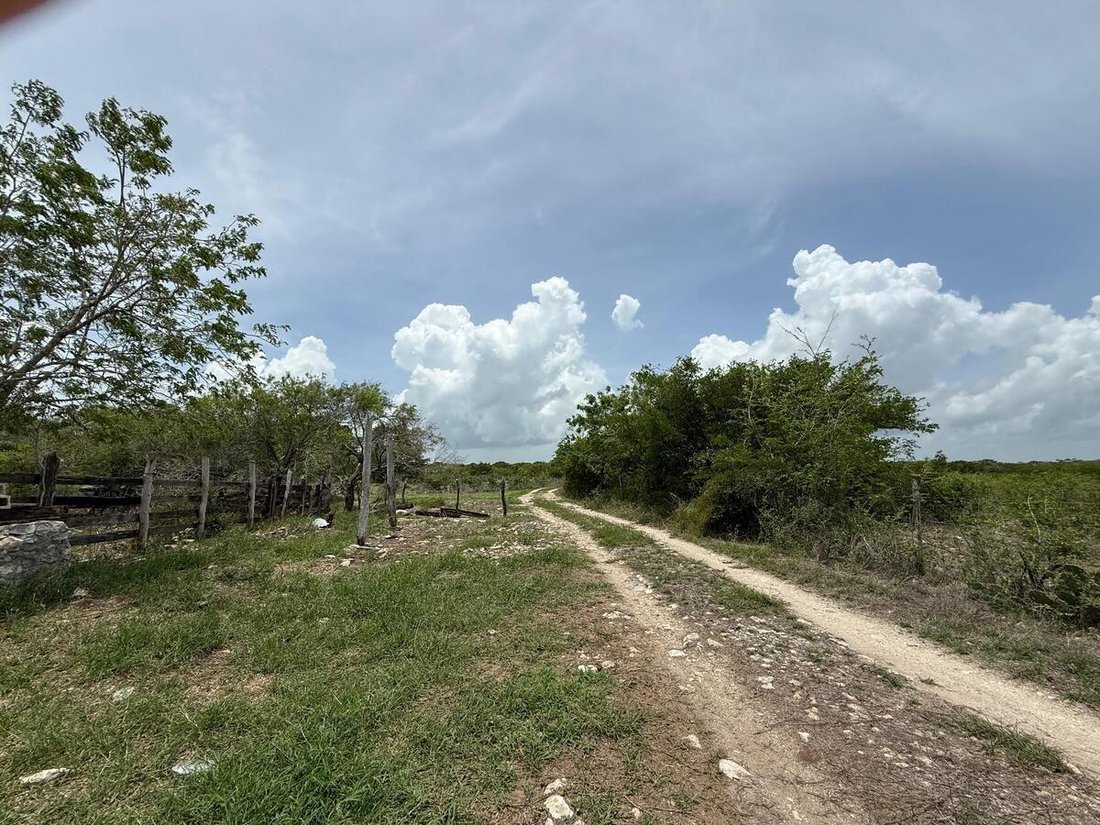 Land in Río Lagartos, Yucatan, Mexico 4 - 19137620