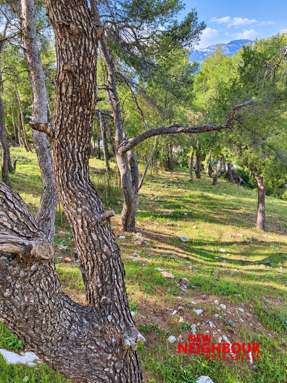 Terreno a Ekali, Attica, Grecia 1 - 19137676