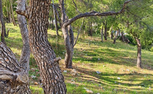Terreno a Ekali, Attica, Grecia 1