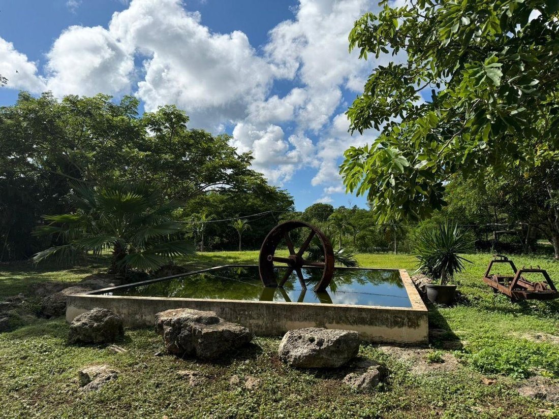 House in Baca, Yucatan, Mexico 3 - 19137641