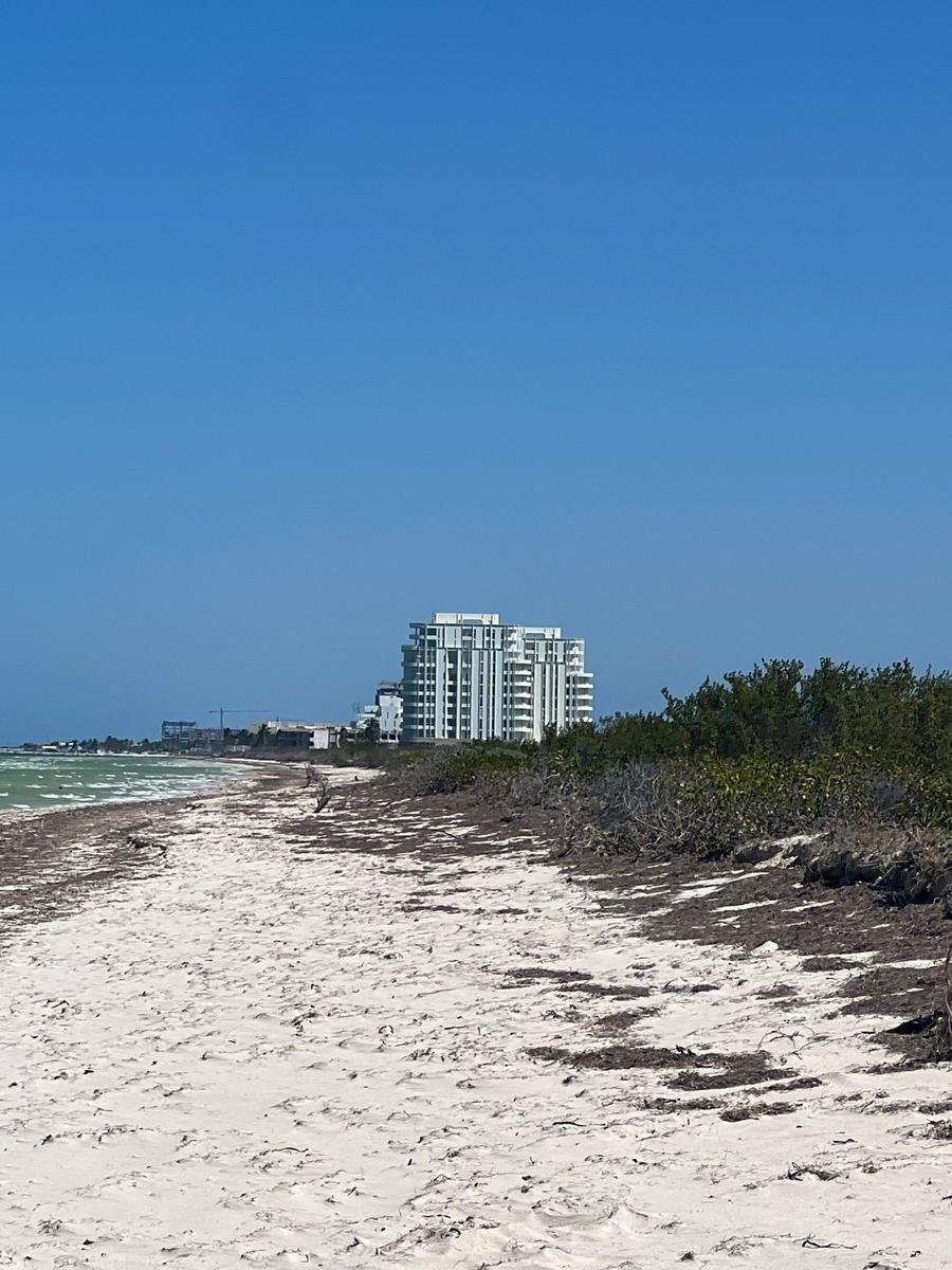 Land in Telchac Puerto, Yucatán, Mexiko 3 - 19137640