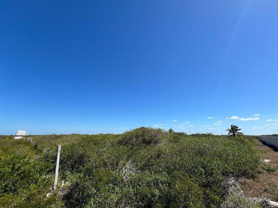 Land in Telchac Puerto, Yucatán, Mexiko 4 - 19137640