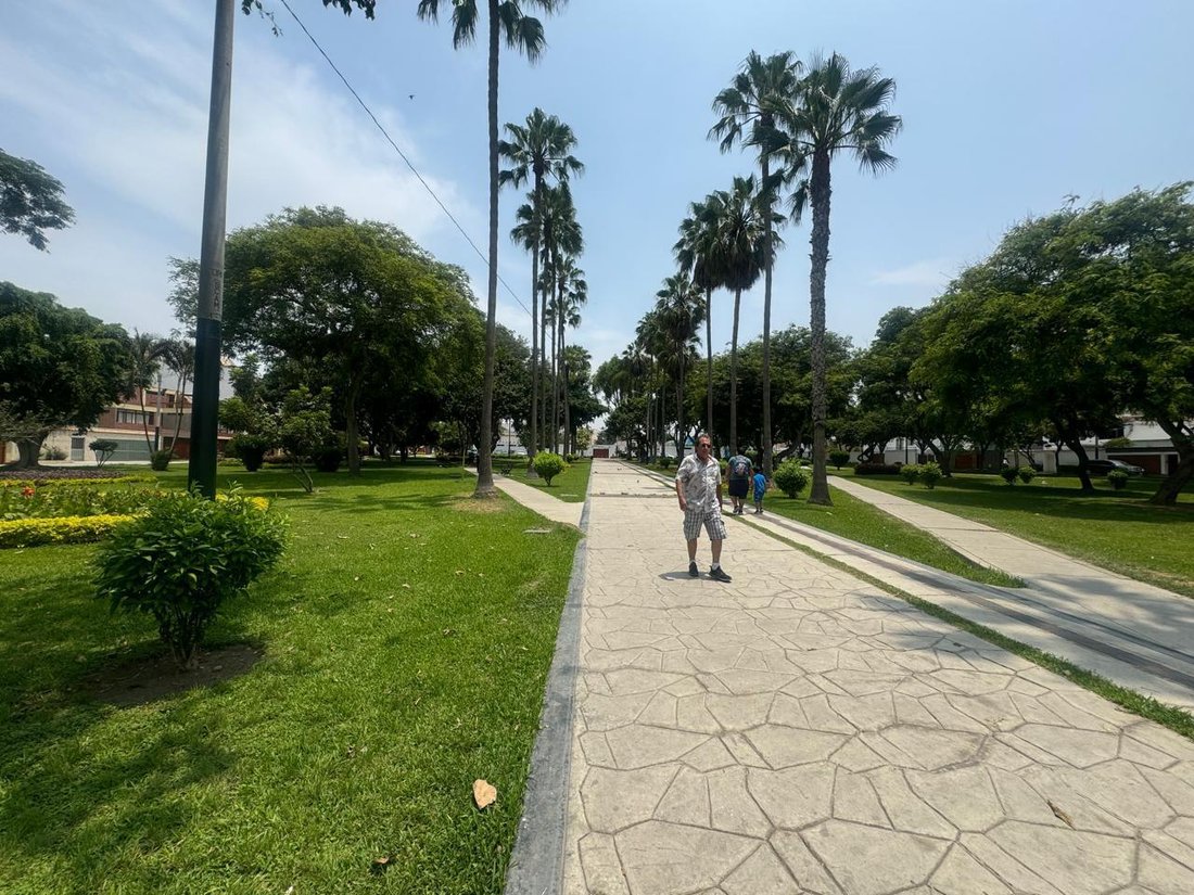 Land in San Juan de Miraflores, Metropolitan Municipality of Lima, Peru 2 - 19137559