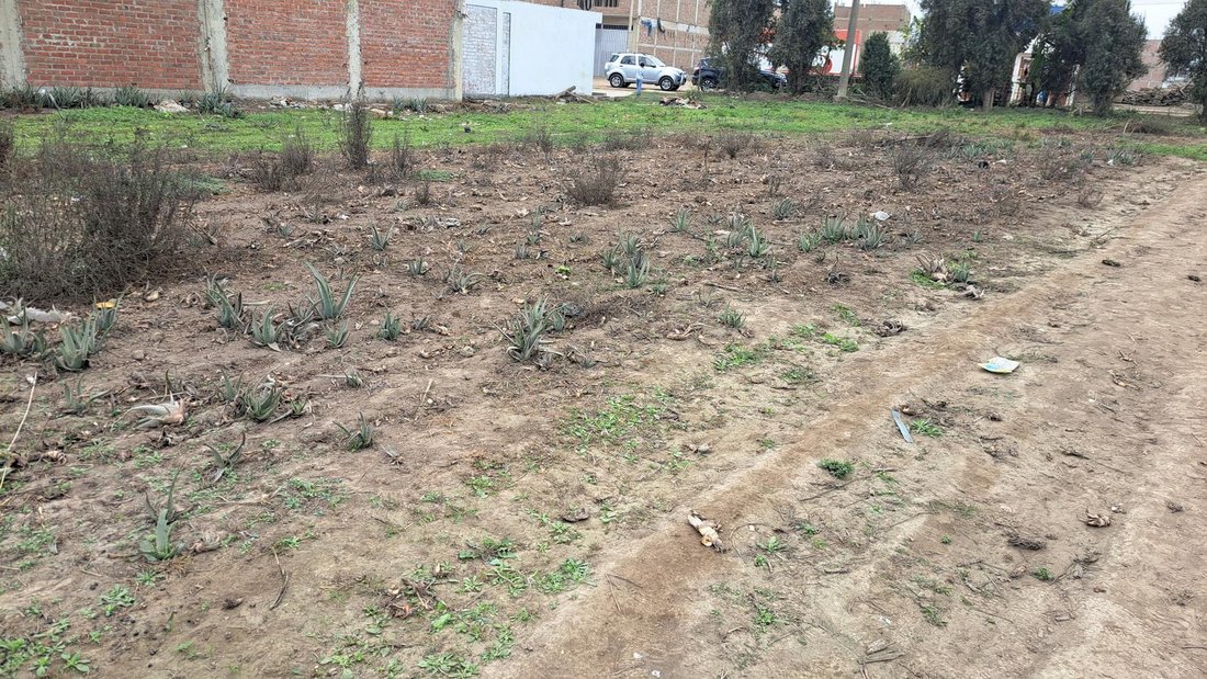 Land in Carabayllo, Metropolitan Municipality of Lima, Peru 5 - 19137562