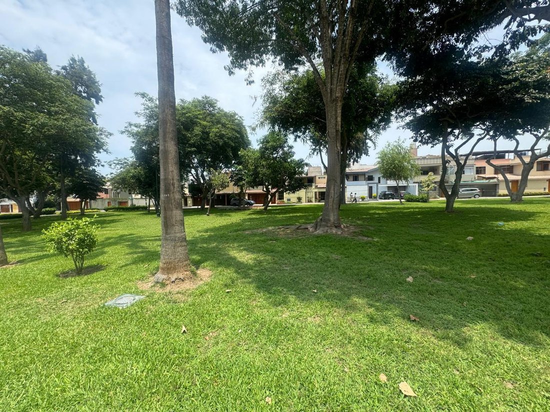 Land in San Juan de Miraflores, Metropolitan Municipality of Lima, Peru 3 - 19137559