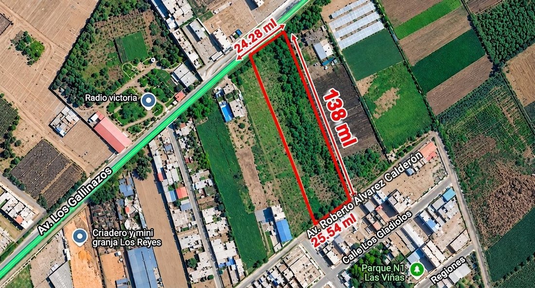 Land in Carabayllo, Metropolitan Municipality of Lima, Peru 2 - 19137562