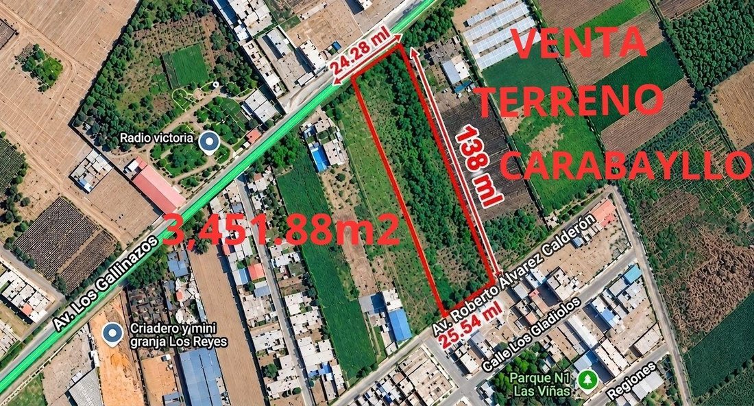 Land in Carabayllo, Metropolitan Municipality of Lima, Peru 1 - 19137562