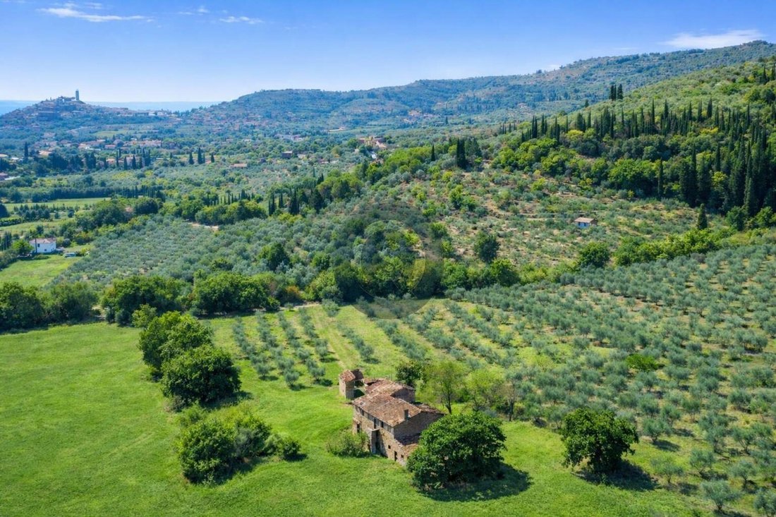 Maisons de campagne à Castiglion Fiorentino, Toscane, Italie 3 - 19137782