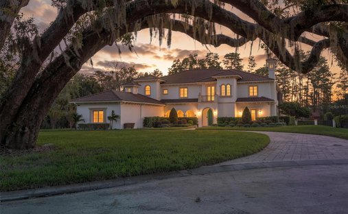 Casa en Odessa, Florida, Estados Unidos 1