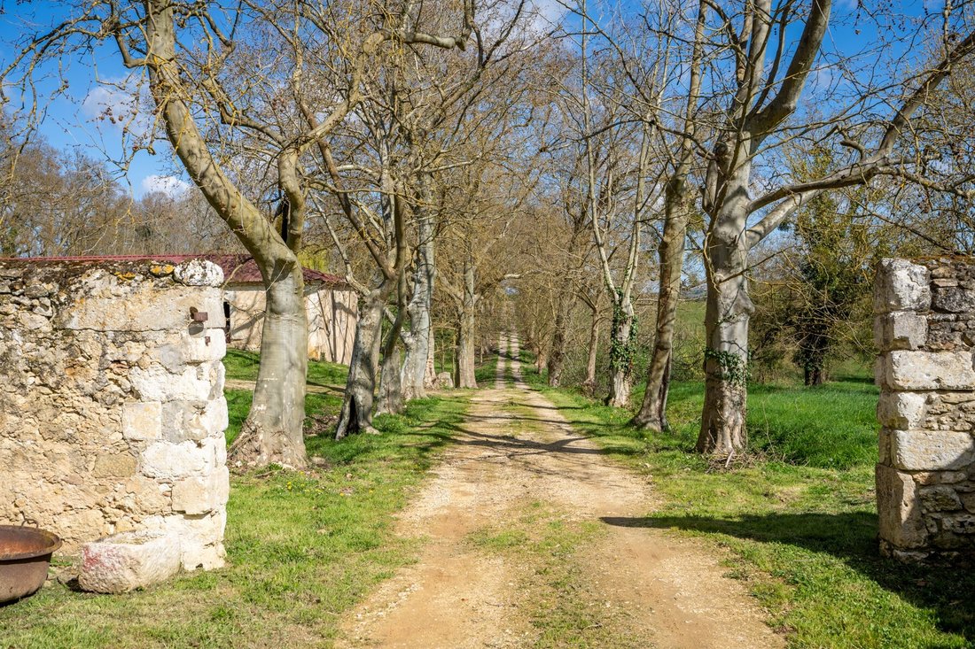 Domaine à Vic-Fezensac, Occitanie, France 4 - 19138109